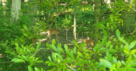 nellebeachgirl kunst pornografische galerie