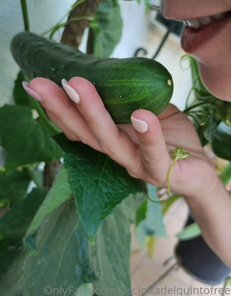 vecinitadelquintofree model nackten galerien