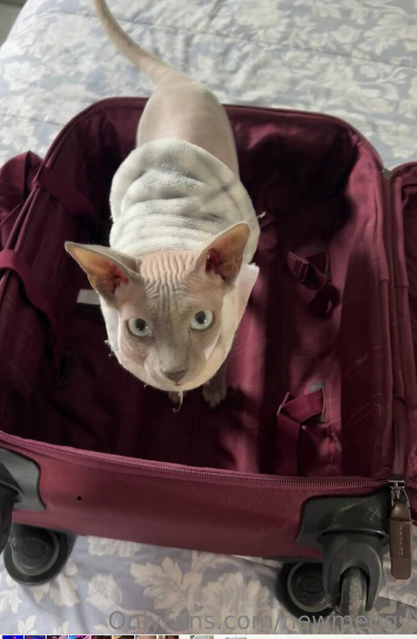 newmeggy freie sexy galerie