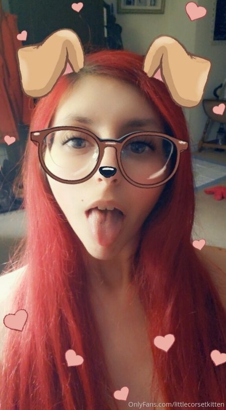 littleeevee66 freie beste galerien