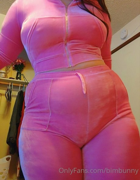 bimbunny kunst perfekte galerien