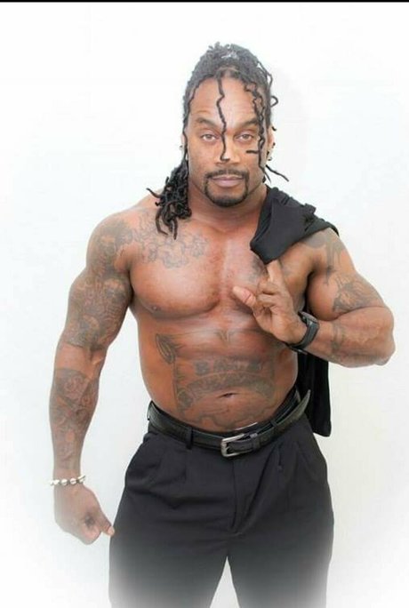 offene muschi nur fans hübsche freie archiv