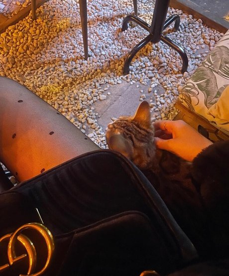 ryydachan pornografische galerien