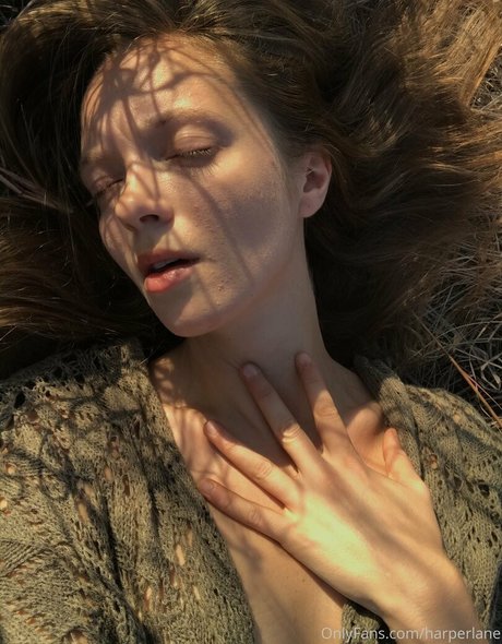 harperlane beste schöne galerien