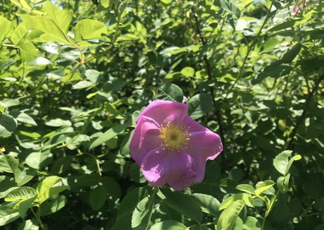 harperlane schauspielerin xxx bild