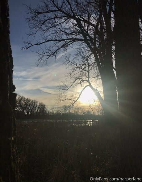 harperlane schauspielerin pornographische bilder