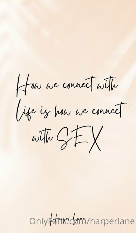 harperlane schöne bild