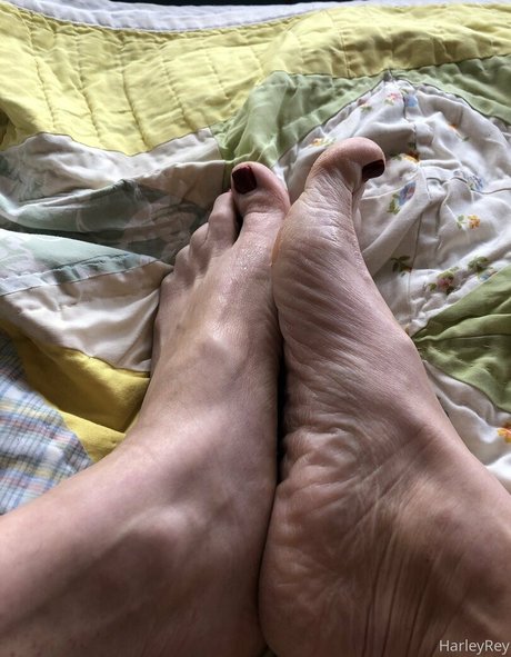 harleyrey porno kunst fotos