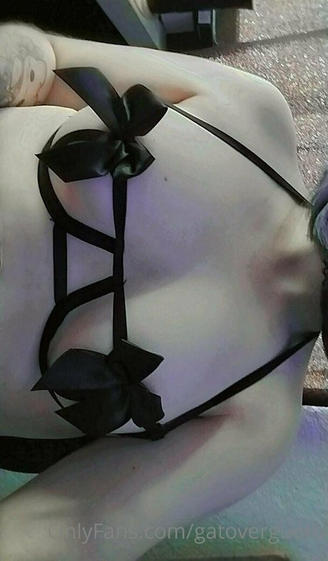 gatoverguero porno fotos