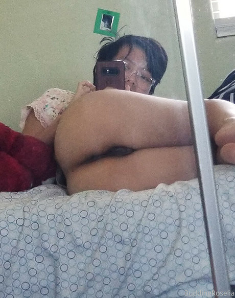 buddingroselia pornostar hd archiv