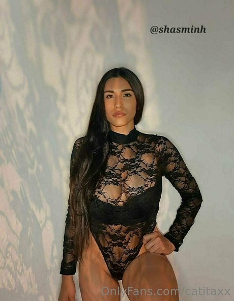 catitaxx erwachsene kostenlose bild