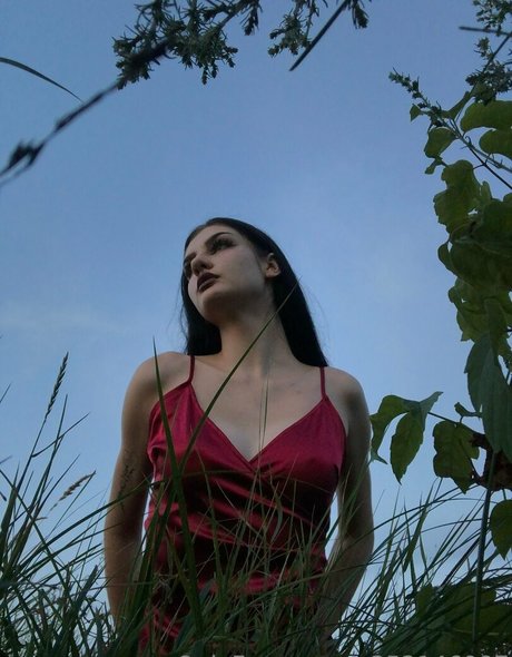 eve in wonderland erotische top bild