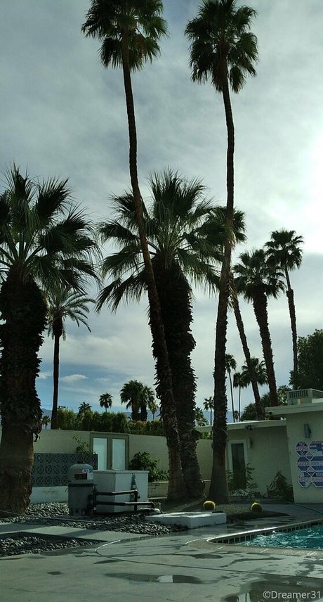 dreamer31 nacktheit galerie