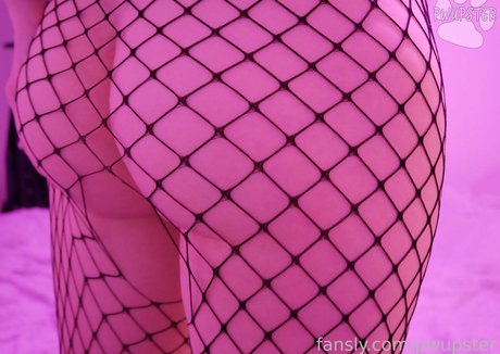 pwupster hd xxx galerie