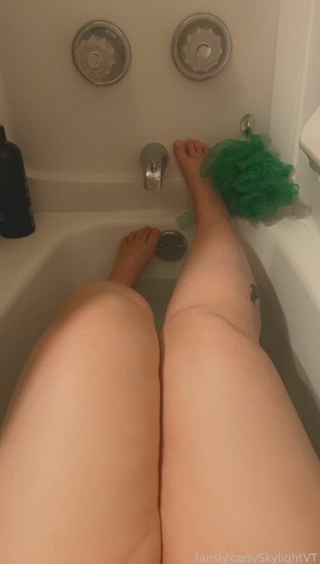 SkylightVT freie exklusive bild