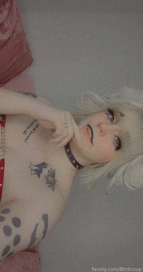 Coophound model nette foto