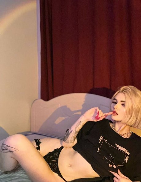 sofaaaaaaaa perfekte freie bilder