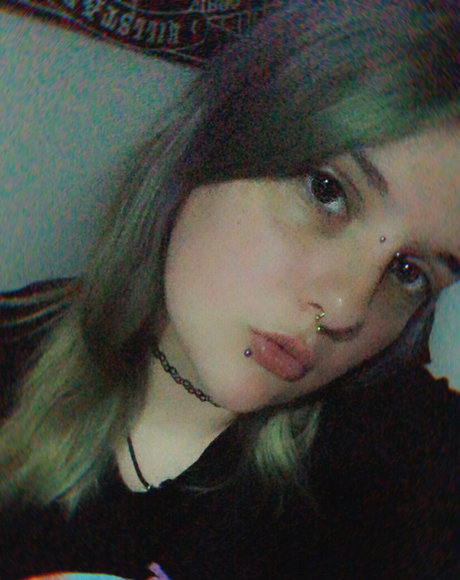 viezu top akt galerien