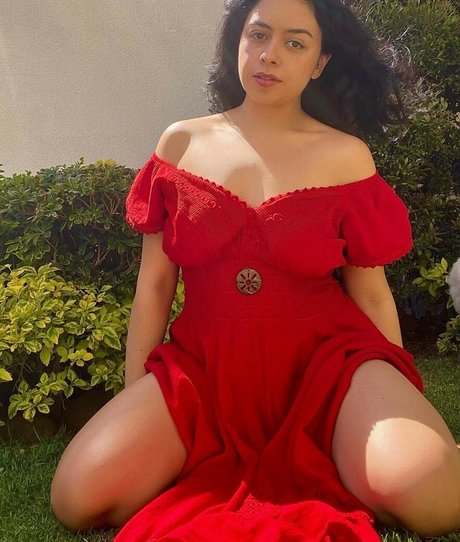 Crazydylan exklusive schöne galerien