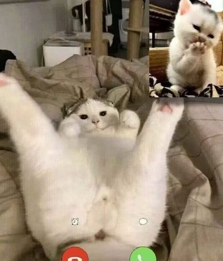 LeaFoxy erotische schöne galerien