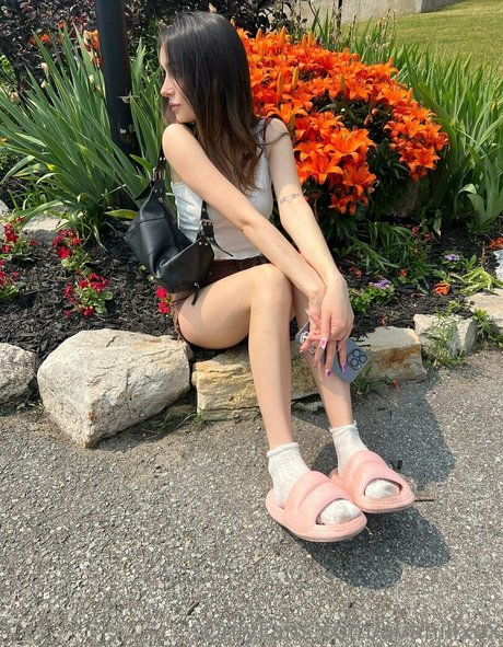 freelolamoon hd freie bild