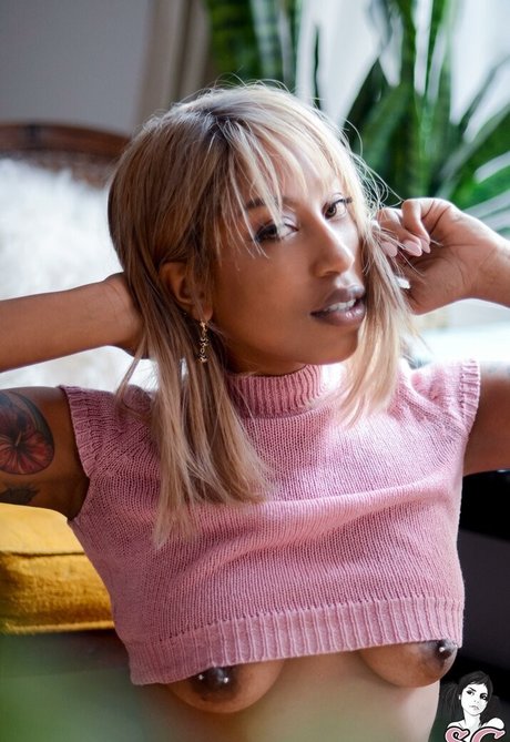 Milloux pornostar nette archiv