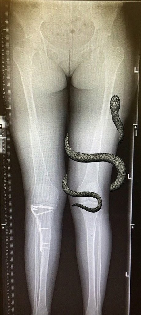 arabisches baby onlyfans kostenlose perfekte galerie