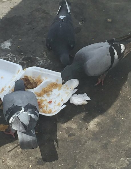 illtakeeverything nacktheit pornografische fotos