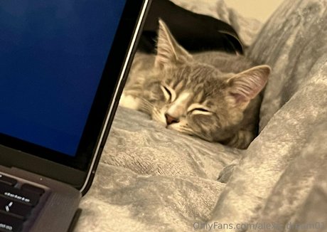 alexa dream01 schauspielerin heiße galerien