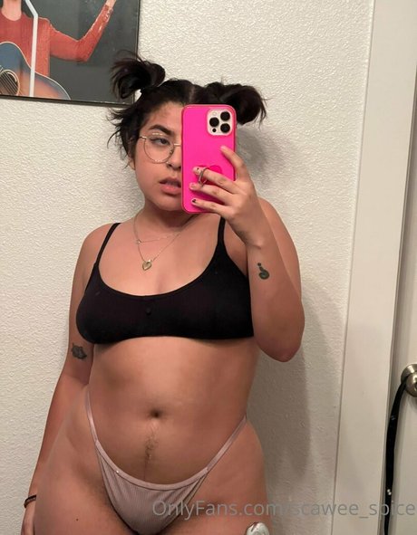 scawee spice perfekte galerien