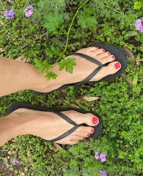 hazel high arches porno heiße galerie