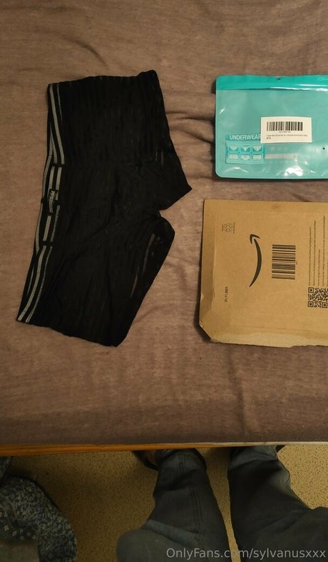 sylvanusxxx kunst nackten foto