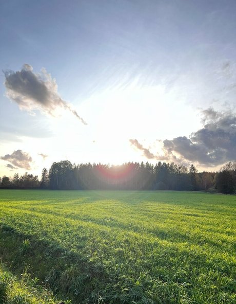 i sophie model perfekte foto