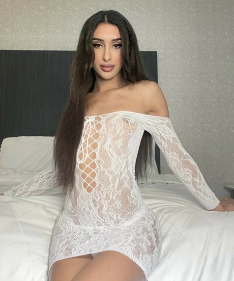 linalegend exklusive akt galerien