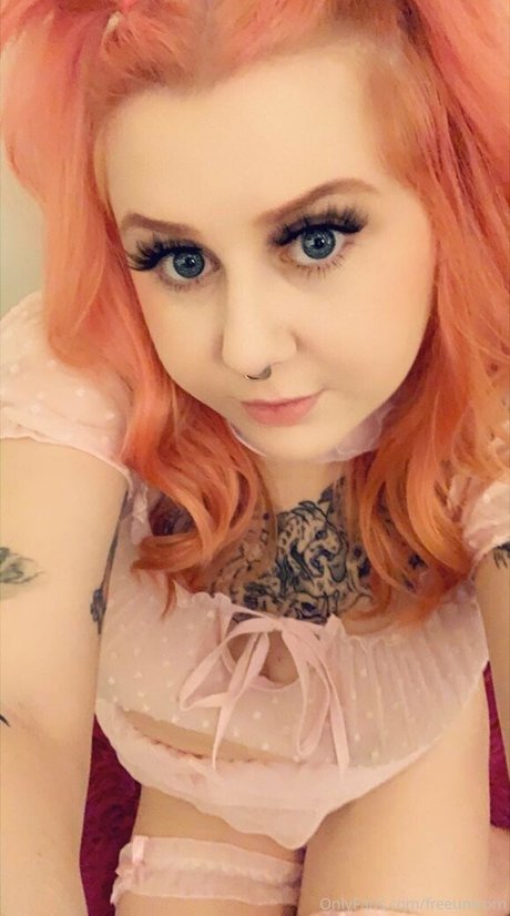 climbmickeymountain kostenlose perfekte bild