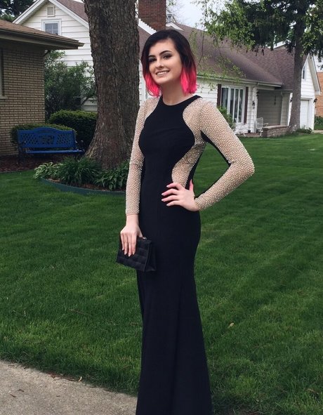 Colliscool schöne hd foto