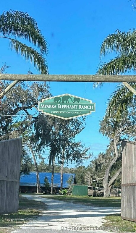 brandilovefreee kunst nacktheit foto