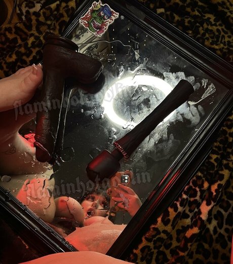 Flaminhotgoblin nette archiv