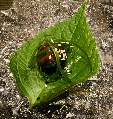 princessaugustine porno perfekte galerie