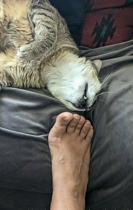 mexhotchocolate erotische archiv