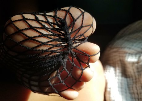 islandgaltoes hd kunst archiv