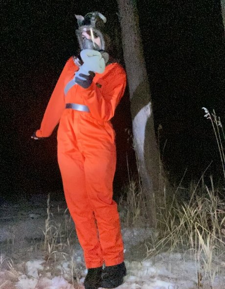 lyraluv schöne freie foto