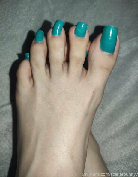 scarletbunnyy Profilbild