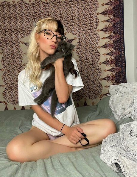 elladevilfree perfekte fotos