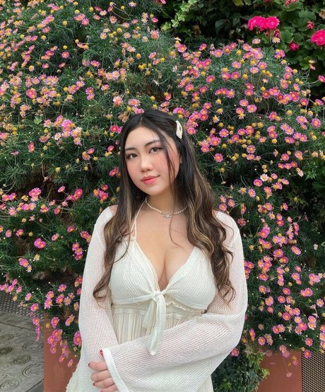 ashl xy perfekte kostenlose foto