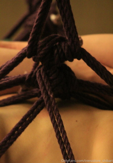 trenzalore shibari kunst beste foto
