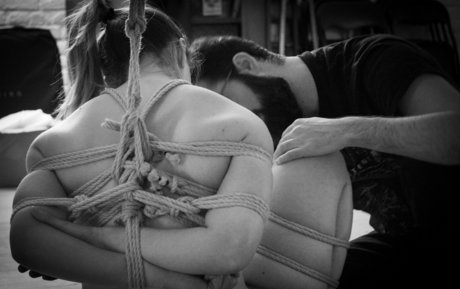 trenzalore shibari Profilbild