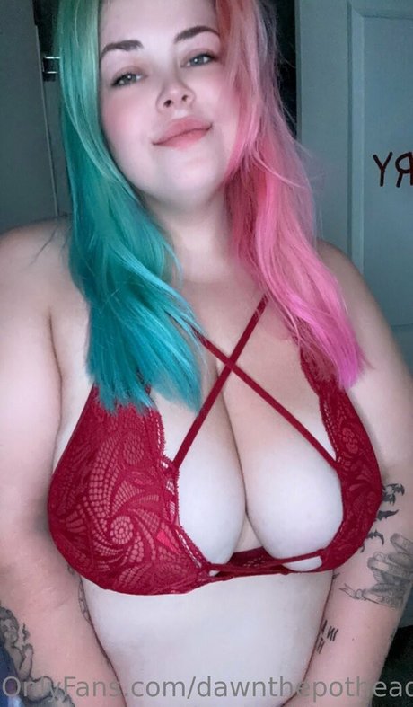 dawnthepothead beste top bilder