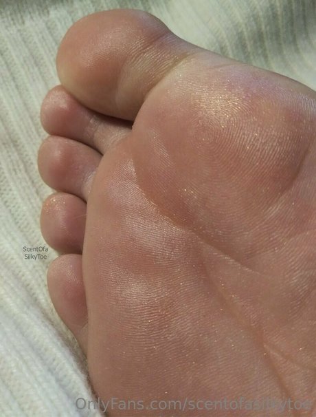 scentofasilkytoe nacktheit freie galerie