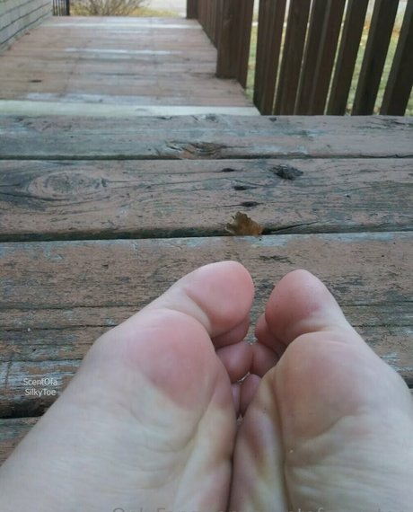 scentofasilkytoe sexy freie archiv